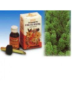 PINO SILVESTRE OE PURO 10ML