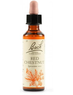 RED CHESTNUT FIORI DI BACH ORIGINAL GOCCE OTTIMISMO 20ML