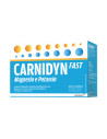 Carnidyn Fast magnesio e potassio per caldo e affaticamento gusto arancia 20 bustine