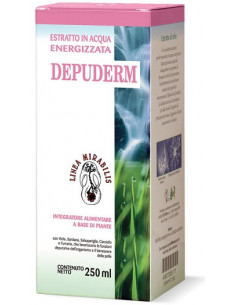 DEPUDERM BARDANA 250ML