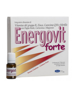 ENERGOVIT FORTE 10FL