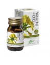 ENOTHERA OLIO CONC OLEOSO 50OP