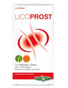 LICOPROST 60CPS 500MG