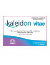 KALEIDON VITAE 12BUST