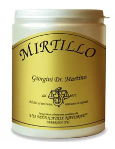 MIRTILLO POLVERE 360G