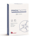 PINEAL NOTTE 24CPR