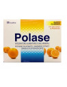 POLASE ARANCIA 36BUST