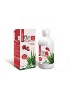 SPECCHIASOL SUCCO ALOE VERA E MIRTILLO ROSSO 1LT - Clubfarma