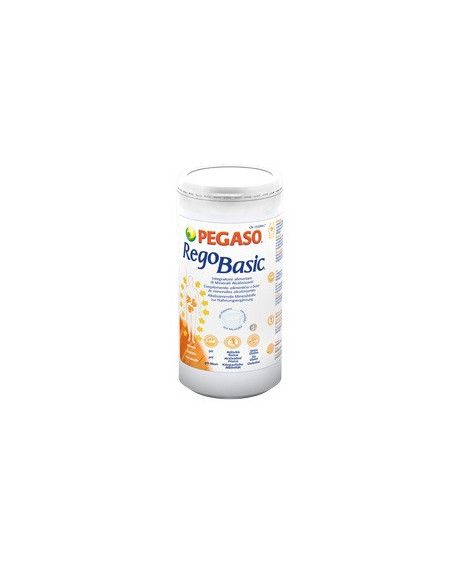 REGOBASIC POLVERE 250G