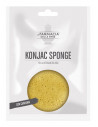 FDE KONJAC SPONGE CURCUMA VISO 1 PEZZO - Clubfarma