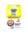 SCHOLL CER CALLIF TRATT R PROT