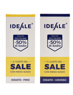 IDEALE CONDIMENTO SALE GR300G