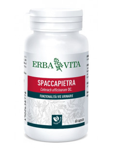 SPACCAPIETRA 60CPS 300MG