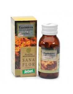 ECHINACEA 60CPR 26G STV