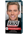 JUST FOR MEN*SH COLOR CAST CH