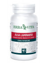 ALGA LAMINARIA 60CPS 500MG ER