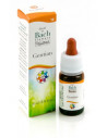 GENTIAN FIORI DI BACH GUNA 10ML - Clubfarma