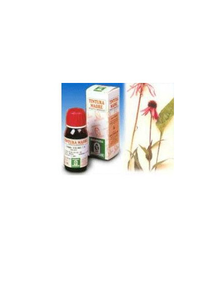 ECHINACEA 50ML TM SPECCHIASOL