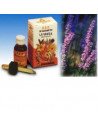 LAVANDA OLIO ESS PURO 10ML SPE