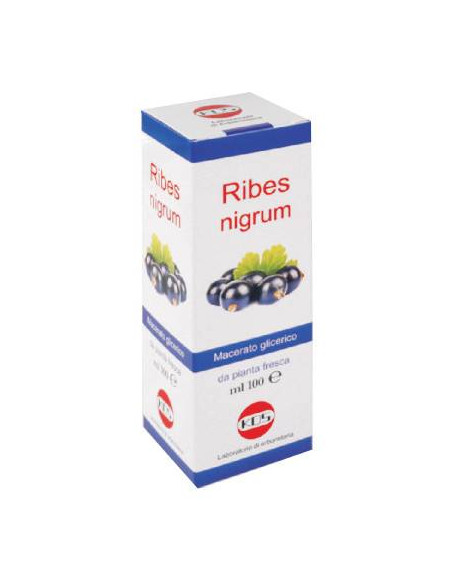 RIBES NIGRUM MG 100ML GTT