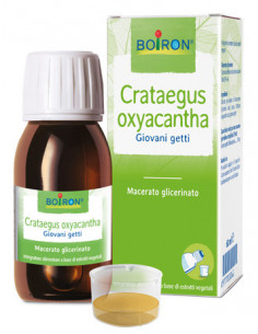 BO.CRATAEGUS OXY MG 60ML INT