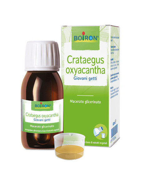 BO.CRATAEGUS OXY MG 60ML INT