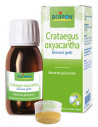 BO.CRATAEGUS OXY MG 60ML INT