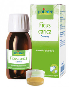 BO.FICUS CARICA 1DH GTT 60ML I