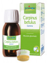 BO.CARPINUS BETULUS MG 60ML IN