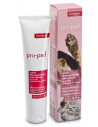 CANDIOLI PROPAD CREMA DERMATOLOGICA PER ANIMALI 100G - Clubfarma