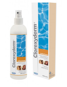 CLOREXYDERM SOLUZIONE SPRAY DISINFETTANTE 250ML - Clubfarma