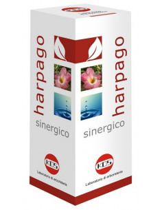 HARPAGO SINERGICO GTT 100ML KO