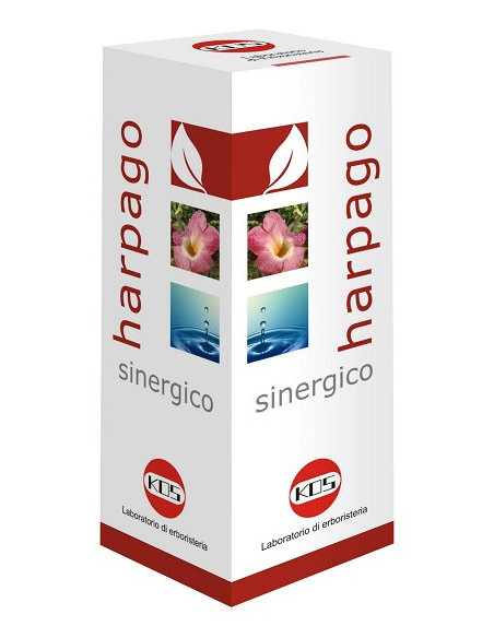 HARPAGO SINERGICO GTT 100ML KO