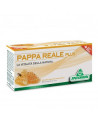 PAPPA REALE PLUS 12FLX10ML