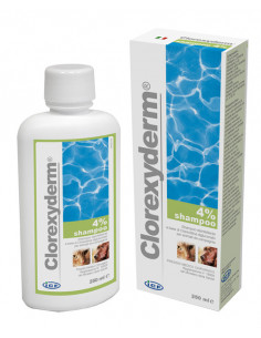 CLOREXYDERM SHAMPOO CLOREXIDINA AL 4% 250ML - Clubfarma