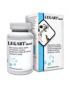 LEGART MAXI 60CPR