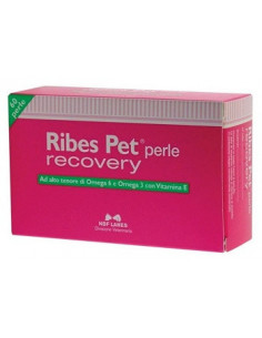 RIBES PET RECOVERY 60PERLE PER LA PERDITA DI PELO - Clubfarma