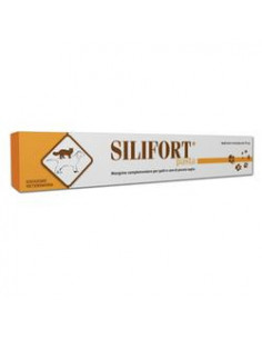 SILIFORT PASTA OS SIRINGA 30G