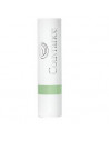 COUVRANCE STICK CORR VERDE 3G