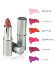 DEFENCE COLOR ROS LIPSHINE202