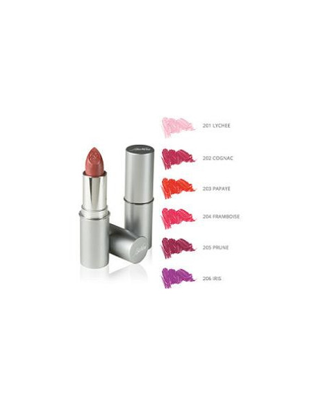 DEFENCE COLOR ROS LIPSHINE202