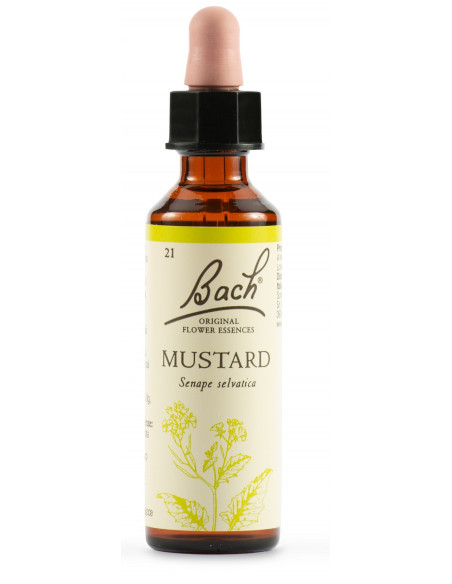 MUSTARD FIORI DI BACH ORIGINAL GOCCE GIOIA 20ML - Clubfarma