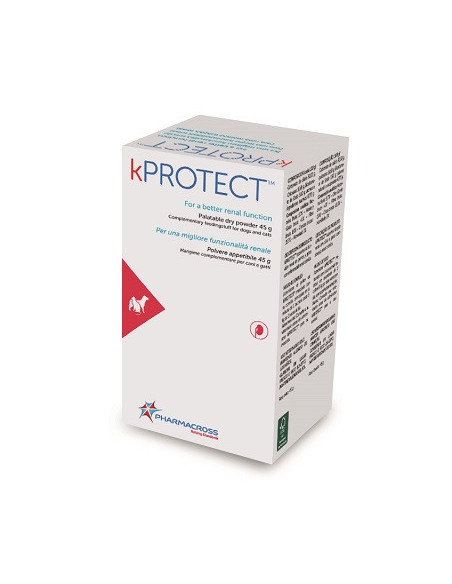 KPROTECT POLVERE 45G