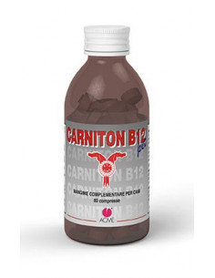 CARNITON B12 PET*80 CPR 1 G