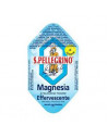 MAGNESIA S.PELL*EFF LIM 15G