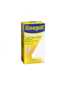 RINOGUTT*SPRAY NASALE 10ML