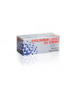 CYCLOVIRAN LABIALE*CREMA 2G 5%