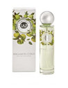 PURE FLEUR 150ML piu MILK BERGAMOT