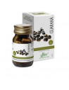 GUARANA CONCENTRATO TOT 50OPR