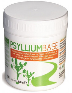 PSYLLIUM BASE POLVERE 120G AVD